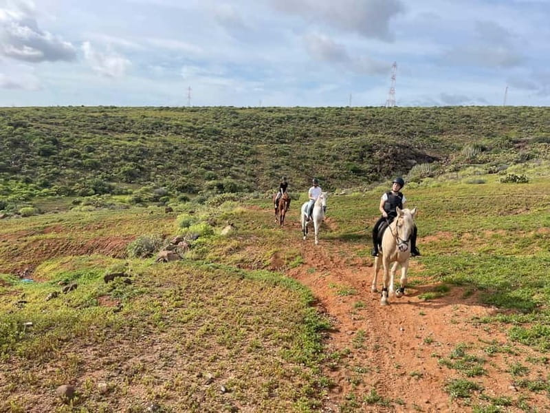 1 hour relaxing horse riding tour in Gran Canaria - Key highlights worth caring about