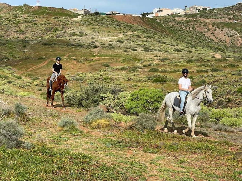 1 hour relaxing horse riding tour in Gran Canaria - Practical tips to make your ride smoother (and less stressful)