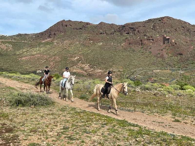 1 hour relaxing horse riding tour in Gran Canaria - Why a 1.5-hour horseback ride feels like a mini break in Gran Canaria
