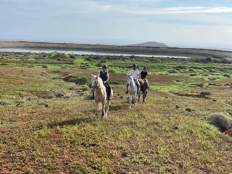 1 hour relaxing horse riding tour in Gran Canaria - Helmets on, horses assigned, and the beginner lesson that actually helps