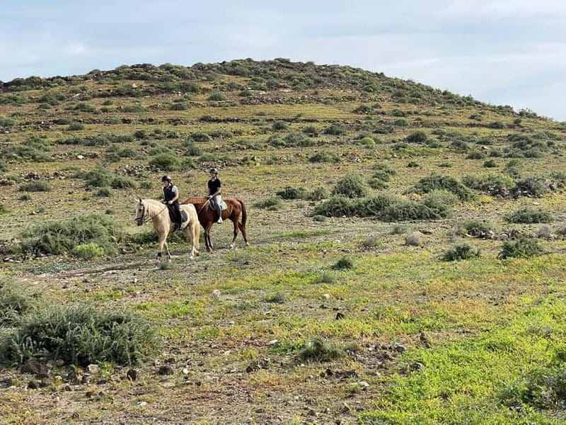 1 hour relaxing horse riding tour in Gran Canaria - Who this tour suits best, and who should skip it