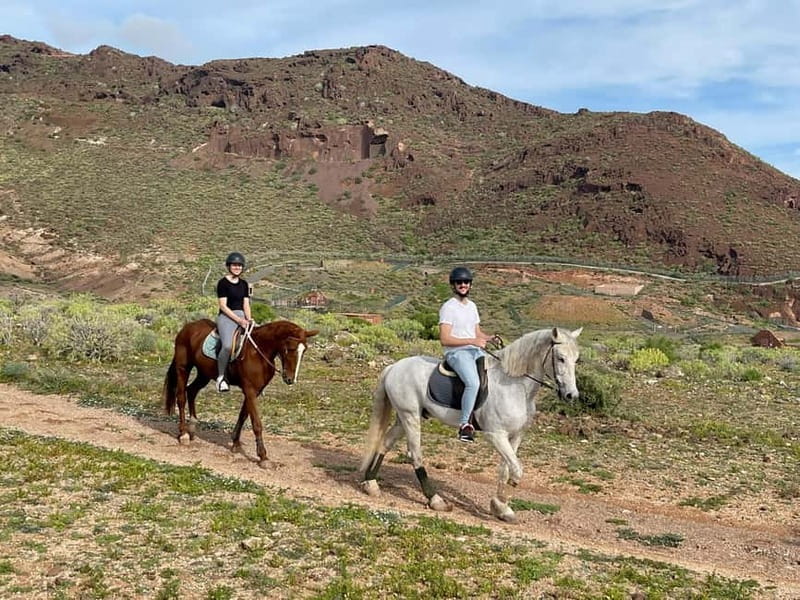 1 hour relaxing horse riding tour in Gran Canaria - Group size, language options, and getting comfortable fast