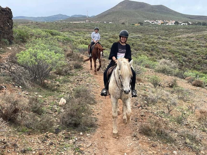 1 hour relaxing horse riding tour in Gran Canaria - Value check: is $40 per person worth it?