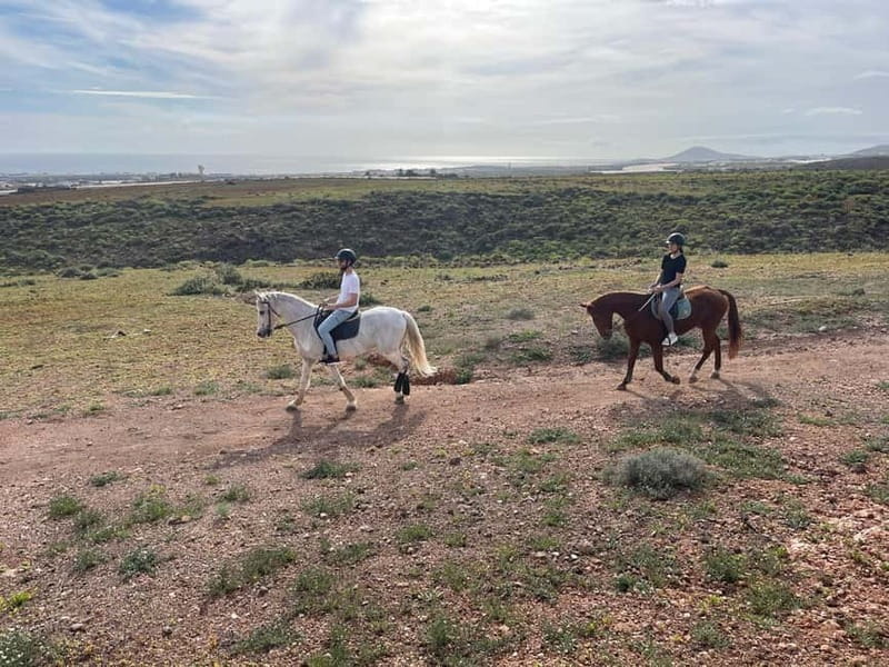1 hour relaxing horse riding tour in Gran Canaria - Getting to the main barn, meeting point tips, and what you wear