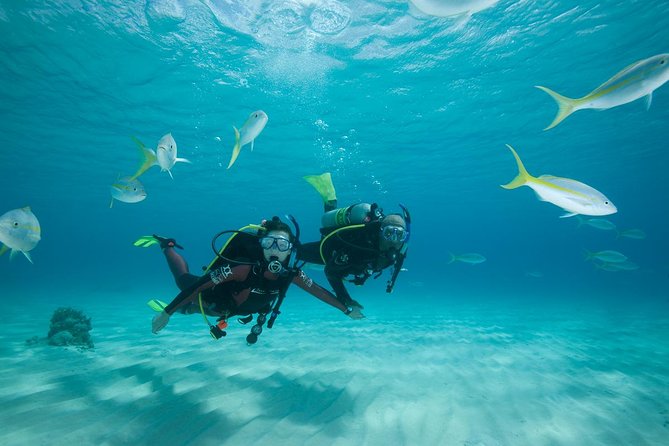 2 Day PADI Scuba Diver Course in Puerto Rico, Gran Canaria - Where the course starts, and how to plan your morning