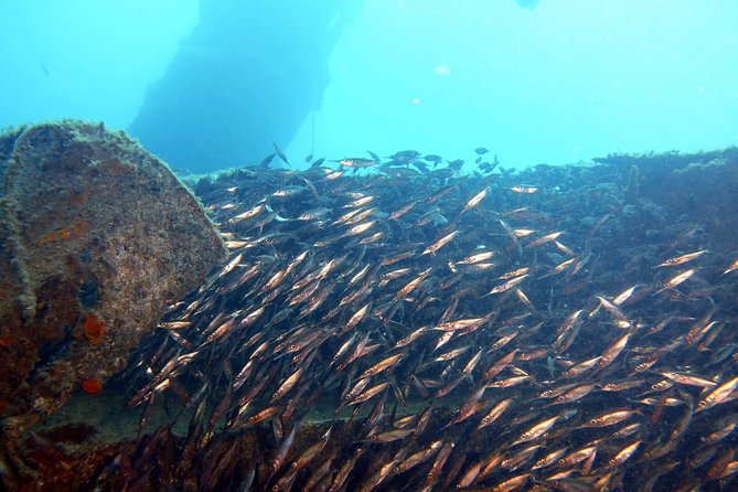 2 Dive Package for PADI Qualified Divers in Gran Canaria - Where the Morning Starts at Blue Water in Las Palmas