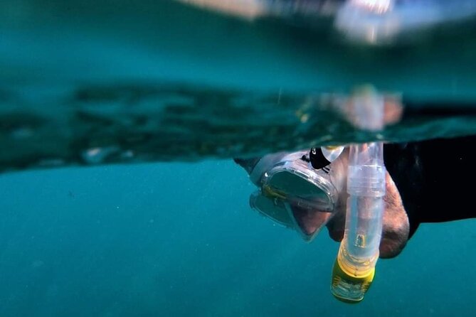 2-Hour Afternoon Snorkeling Experience in Gran Canaria by Boat - Guided Snorkeling: What You Do Once You Hit the Water