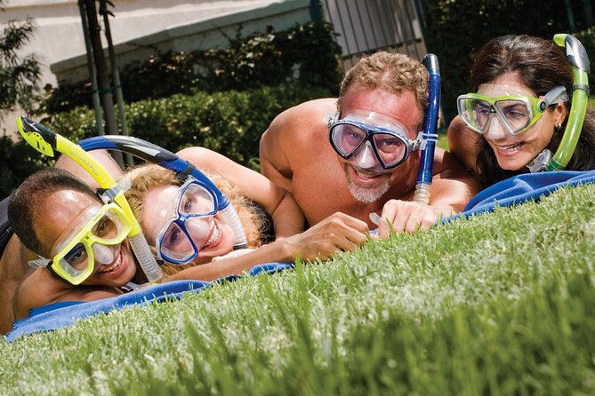 2-Hour Afternoon Snorkeling Experience in Gran Canaria by Boat - The Marine Life You Can Expect in Canarian Waters