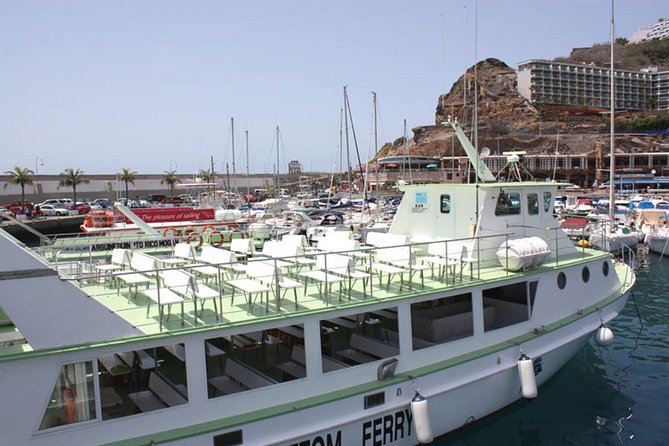 2-Hour Dolphin and Whale Watching in Gran Canaria - The on-water portion: dolphin search, possible whales, and what might appear