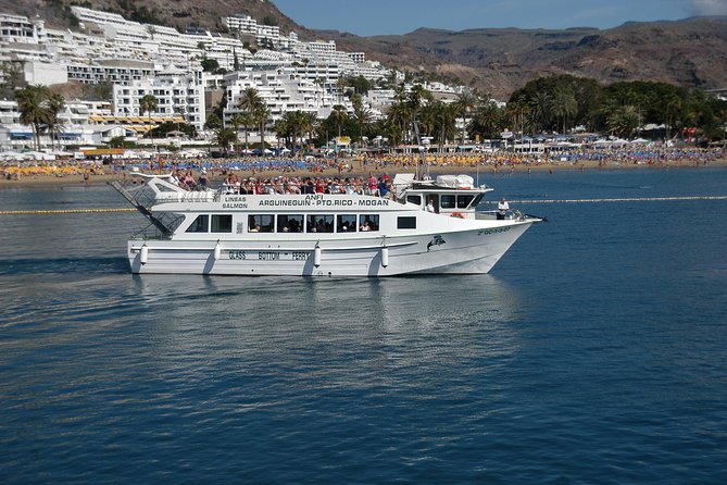 2-Hour Dolphin and Whale Watching in Gran Canaria - Onboard bar, drinks, and small comforts that make 2.5 hours feel easier