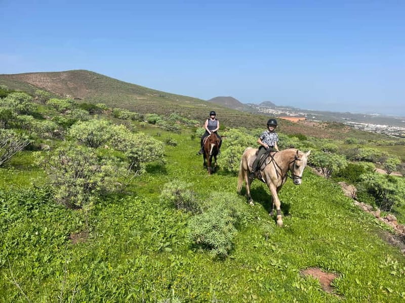 2 hours Green Mountains Horse Riding Tour - Key things to know before you ride