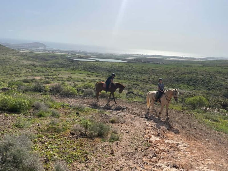 2 hours Green Mountains Horse Riding Tour - Who should book this tour, and who should skip it
