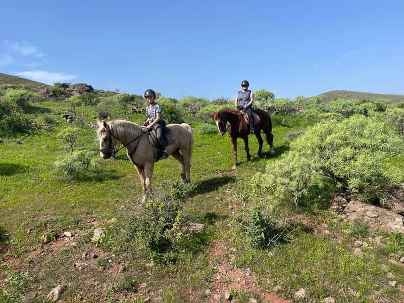 2 hours Green Mountains Horse Riding Tour - The 15-minute lesson that helps first-timers actually relax