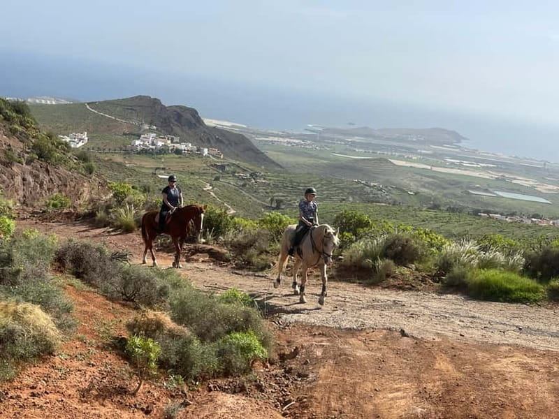 2 hours Green Mountains Horse Riding Tour - The viewpoint ride, aimed at Las Palmas to Arinaga views