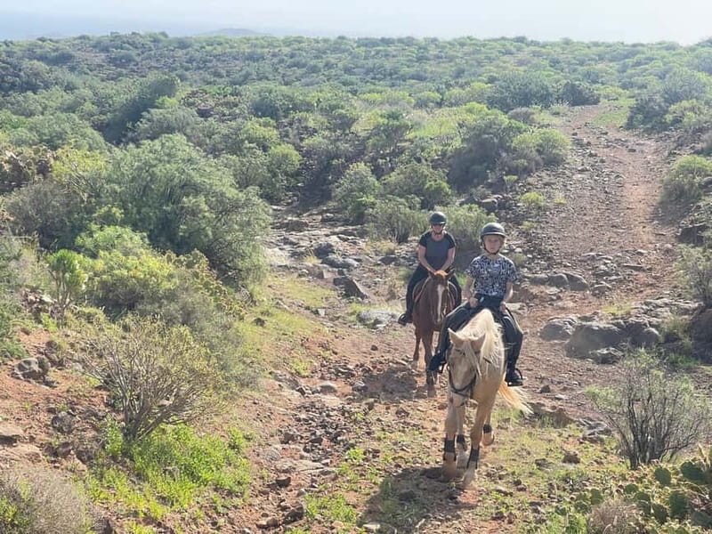 2 hours Green Mountains Horse Riding Tour - The caves route, with cliffs and an ancient cave village sight