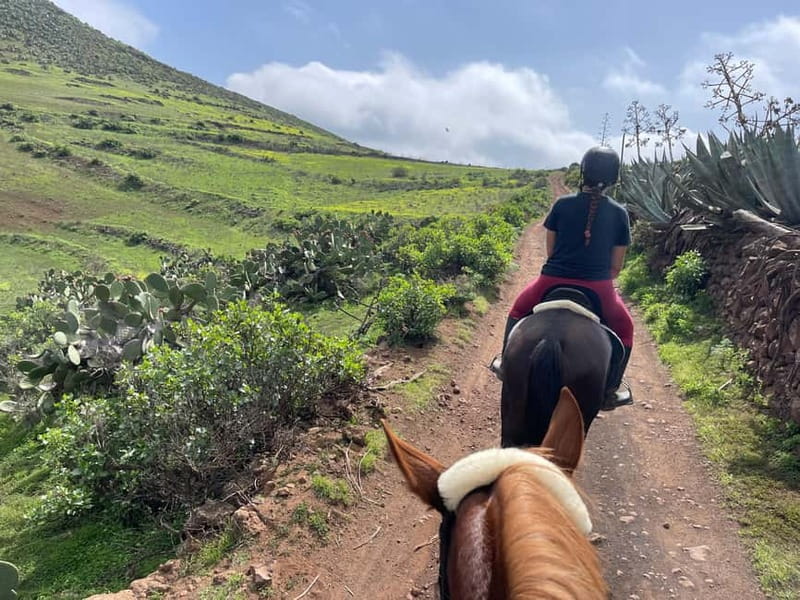 2 hours Green Mountains Horse Riding Tour - Price and value: is $96 per person fair for 2 hours?