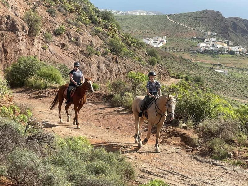 2 hours Green Mountains Horse Riding Tour - What to wear and bring so the ride feels comfortable