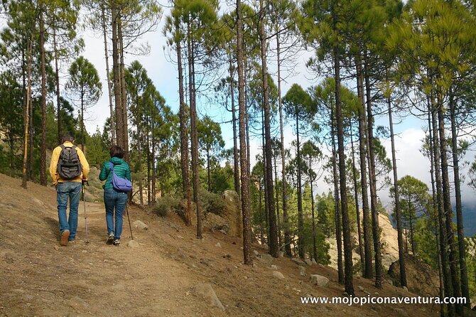 3-Hour Hiking Experience in Roque Nublo - Pickup timing, small-group flow, and why it matters