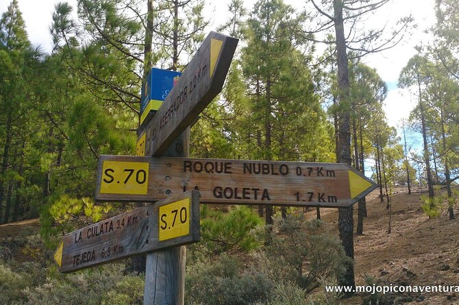 3-Hour Hiking Experience in Roque Nublo - The drive stops: Mirador Degollada de la Yegua, Fataga, and beyond