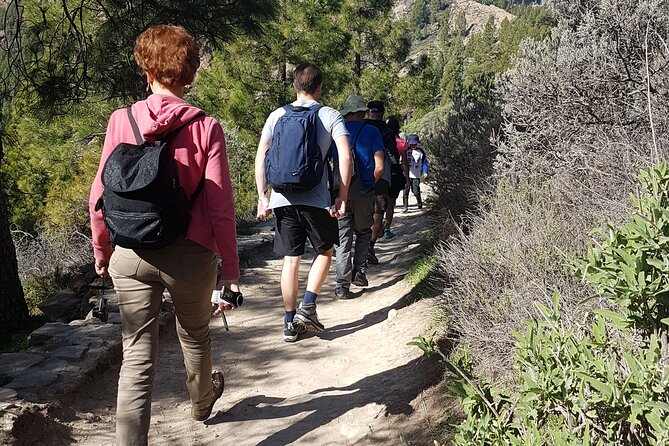 3-Hour Hiking Experience in Roque Nublo - Roque Nublo picnic, photos, and the calm around the rock