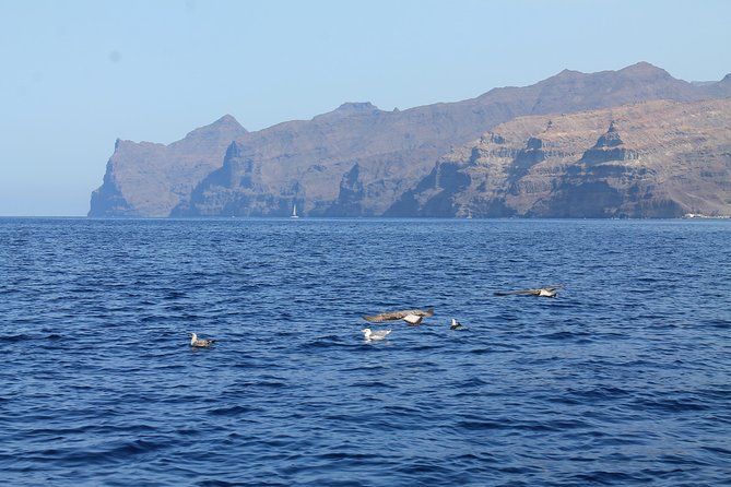 3h Boat Trip + Snorkeling in Puerto de Mogan - Paddle Board Included: A Bonus If You Want to Move Beyond Snorkel