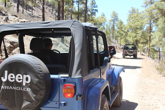 Adventure Driving Jeep Tour in Gran Canaria - Key highlights you should know before you go