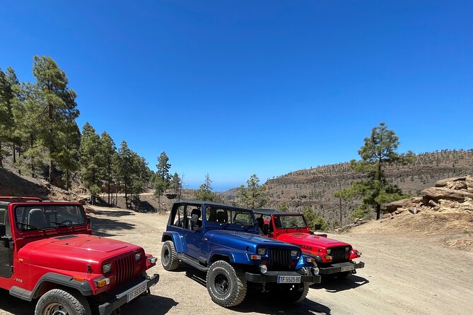 Adventure Driving Jeep Tour in Gran Canaria - What you get for the price: group value, not just a ride