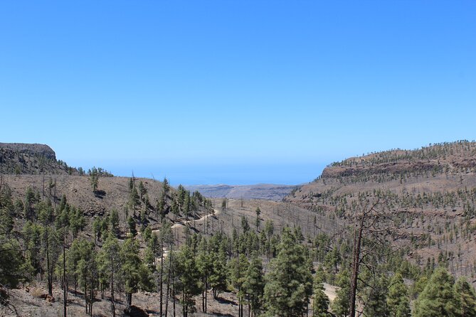 Adventure Driving Jeep Tour in Gran Canaria - Timing and group size: how the flow stays easy