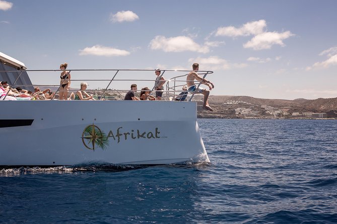 Afrikat Afternoon Cruise - Why this Afrikat afternoon cruise feels like a real break