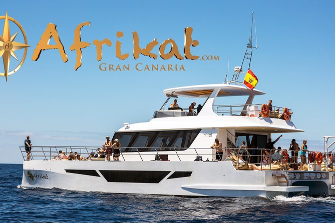 Afrikat Afternoon Cruise - Where you board: meeting point and the pickup rules that can surprise you