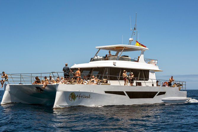 Afrikat Afternoon Cruise - Onboard vibe: comfort, space, and the group size feel