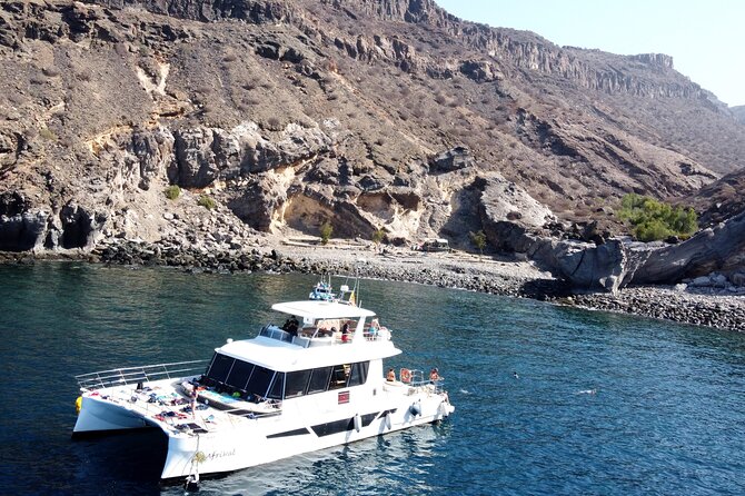 Afrikat Morning Cruise - Key Points You Should Know Before You Go