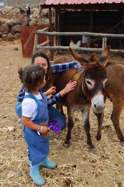 Agüimes : Be a farmer for the day at La Jaira de Ana - Meet the Farm Animals Up Close, Not From Afar
