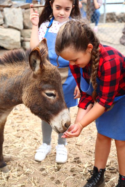 Agüimes : Be a farmer for the day at La Jaira de Ana - Who This Experience Fits Best