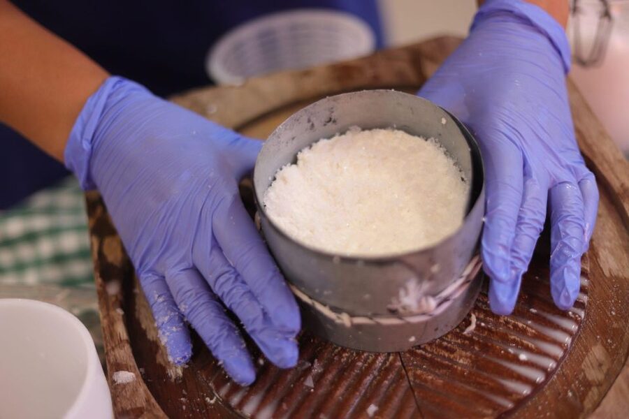 Aguïmes : Cheese Making Workshop at la Jaira de Ana - Goats care and the milk collection moment you should pay attention to