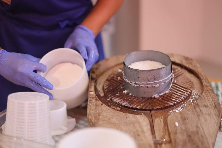 Aguïmes : Cheese Making Workshop at la Jaira de Ana - Language and communication: what to expect in Spanish and English
