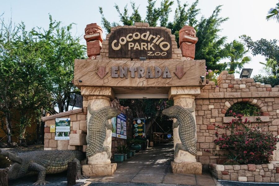 Agüimes: Cocodrilo Park Zoo Entry Ticket - Who should book Cocodrilo Park tickets
