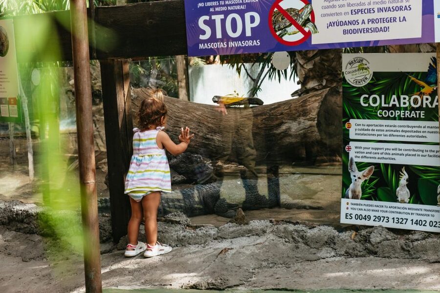 Agüimes: Cocodrilo Park Zoo Entry Ticket - Your perfect pace: how long to plan for