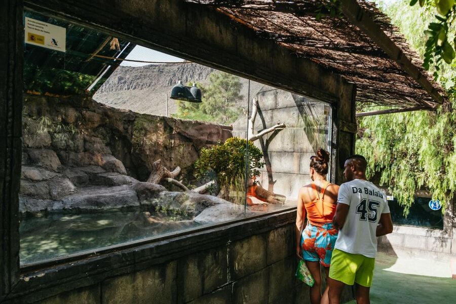 Agüimes: Cocodrilo Park Zoo Entry Ticket - Eating on site at Monkey snack-bar and the cafe