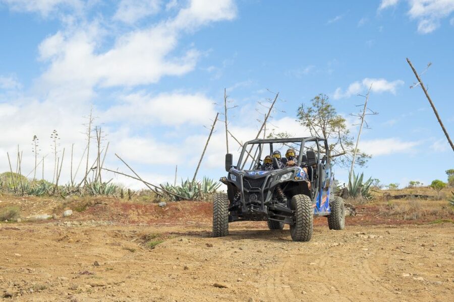 Anfi beach: Guided Buggy Tour. - Viewpoint time: coastline, towns, and farmland you can actually take in