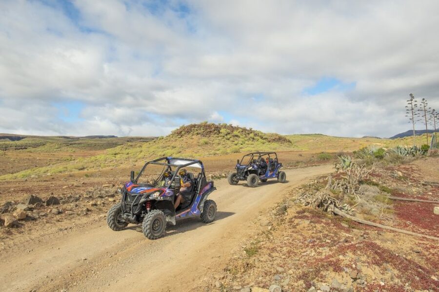 Anfi beach: Guided Buggy Tour. - Pricing: how $175 per group up to 2 can feel fair