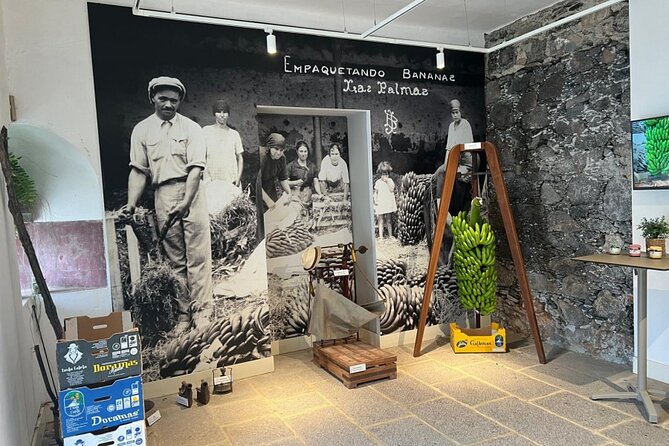 Banana Museum, Rum Distillery & Winery with Tasting: Premium tour - Group size, bus comfort, and pacing: the tradeoffs to expect