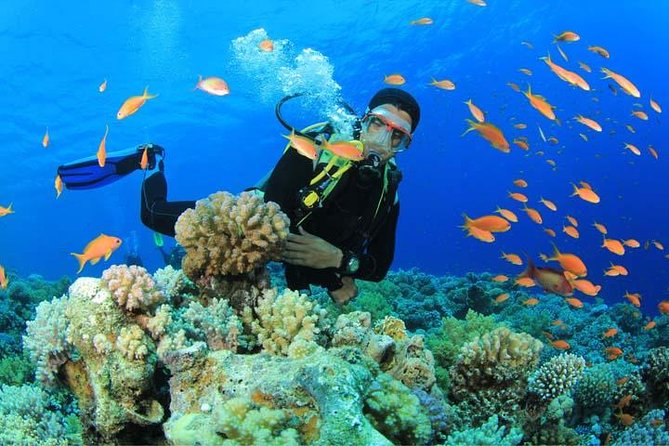 Beginners Scuba Diving Experience in Gran Canaria - Key things to know before you go