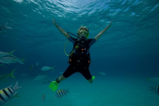 Beginners Scuba Diving Experience in Gran Canaria - Who should book, and who should adjust expectations