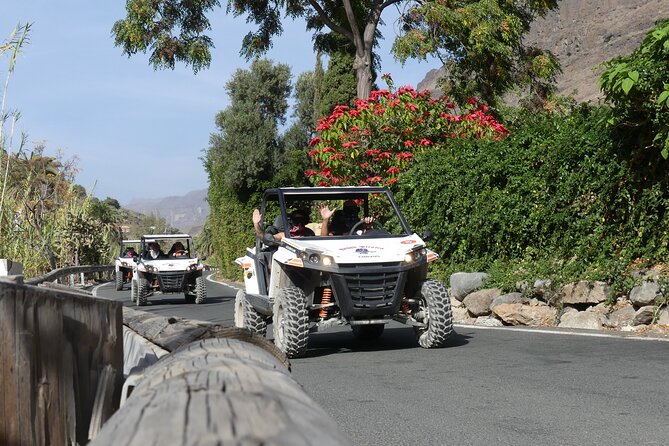 Buggy Tour Gran Canaria - Reservoir, bamboo fields, palms, and prickly pears: the “interior” you can feel
