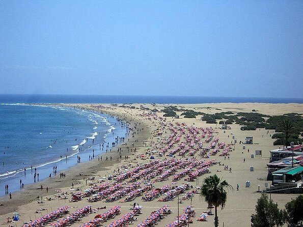 Camel Riding in Maspalomas Dunes - Key points to know before you go
