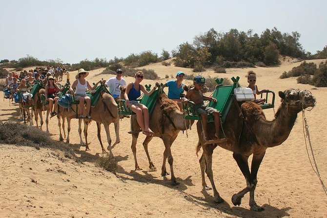 Camel Riding in Maspalomas Dunes - Why this Maspalomas camel ride is great value for 30 minutes