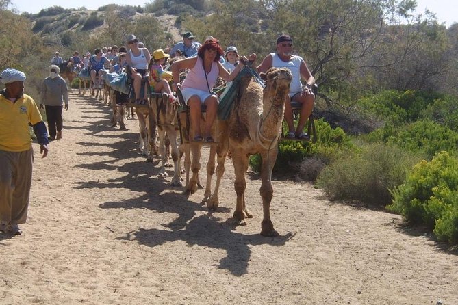 Camel Riding in Maspalomas Dunes - Timing and wait times: the start every 20 minutes rule