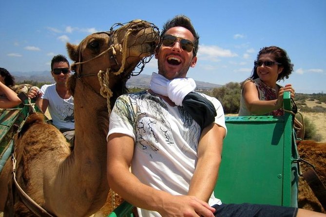 Camel Riding in Maspalomas Dunes - Price, timing, and what $21.63 actually buys you