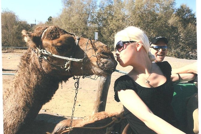 Camel Safari through the Dunes of Maspalomas - Key things to know before you go